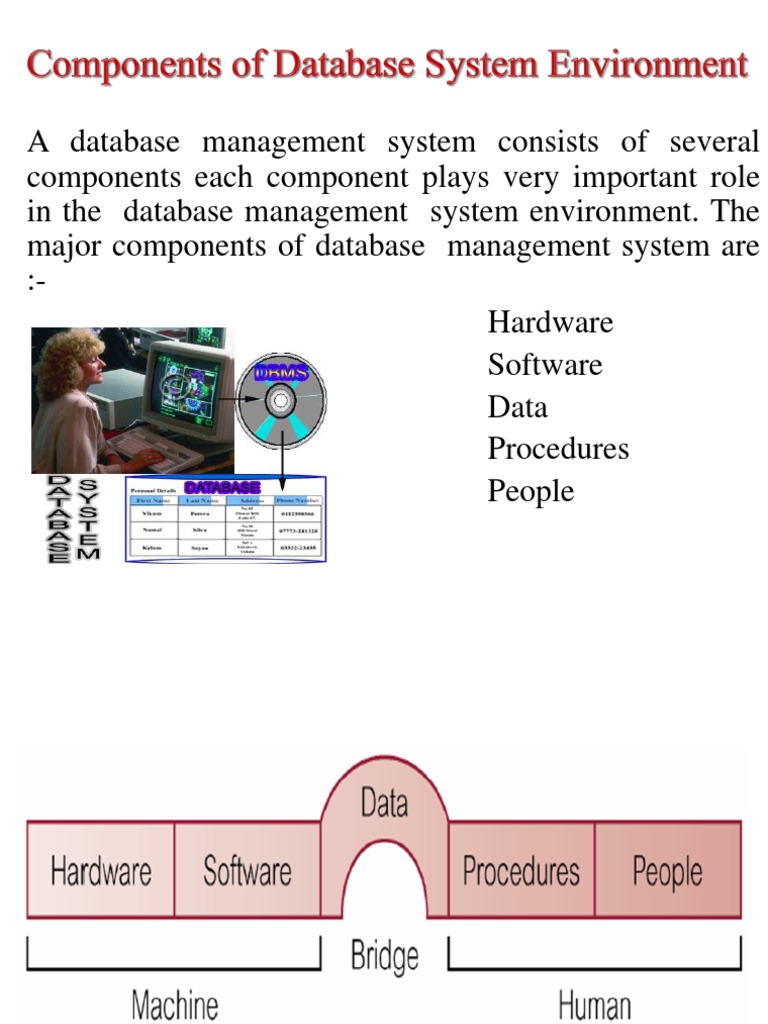 1.3components of Database System Environment | PDF
