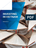 Investing in Vietnam