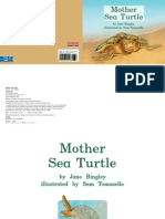 All About Mother Sea Turtle