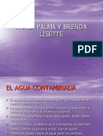 elaguacontaminada-110602112812-phpapp01
