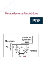 Metabolismo de Nucleotidos