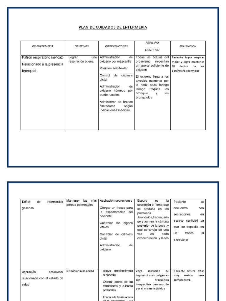 Plan de Cuidados en Neumonía | PDF