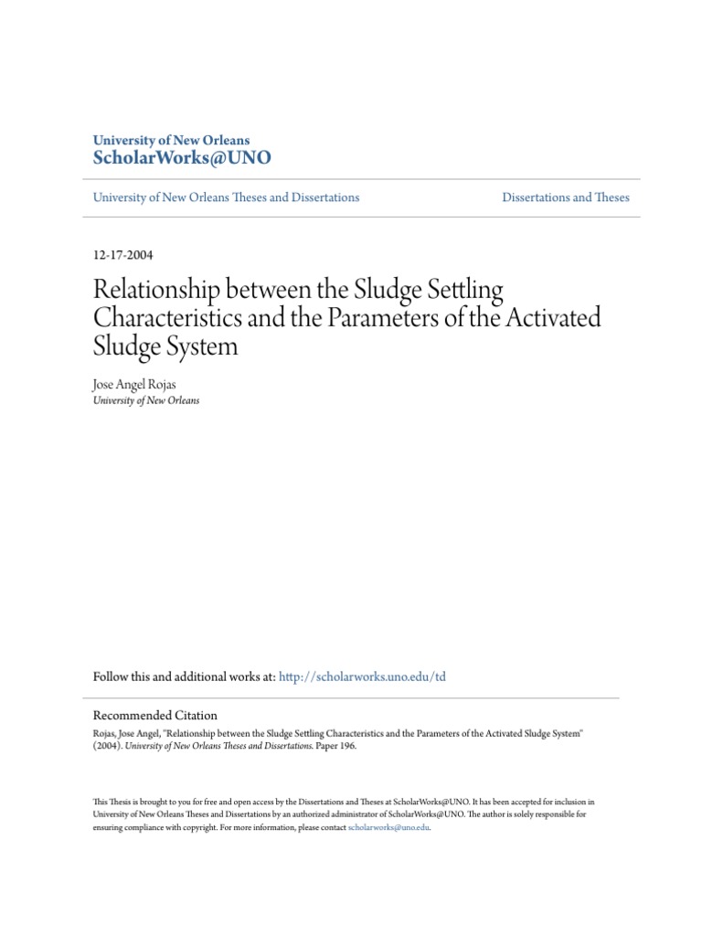 What is a dissertation picture