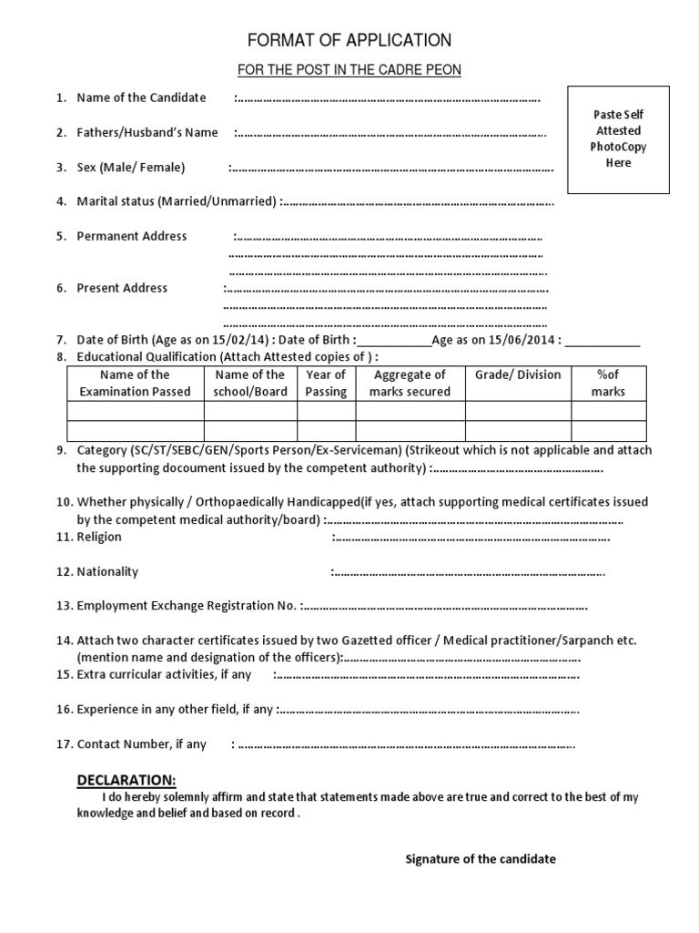 Application Format for Peon Post | PDF | Social Institutions | Social ...