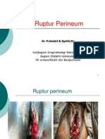 Ruptur Perineum FK 2012