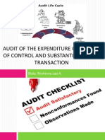 Audit of The Expenditure Cycle