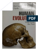 Evolution Human