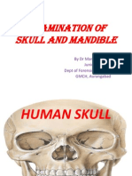 Skull and Mandible- Forensic Anatomy