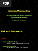 Download Sindromul Goodpasture by Leonard D SN23520486 doc pdf