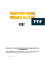 (Deluxe) Resumen Parcial Procesal Penal