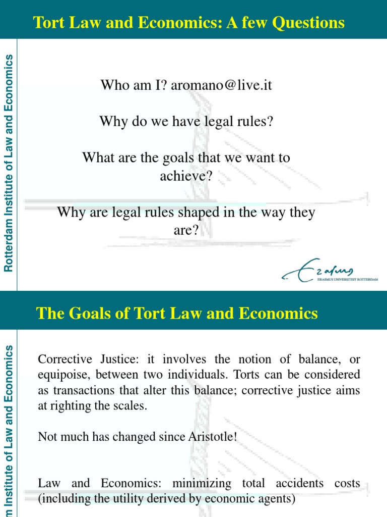 Tort Law and Economics: A Few Questions | PDF | Causation (Law ...