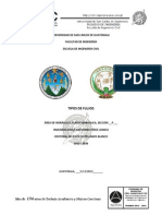 Tipos de Flujos Hidraulicos