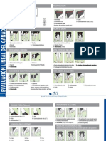 Evaluacion Lineal Del Ganado Lechero