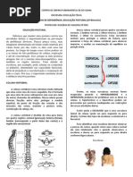 Educação Postural