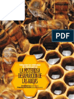 Desaparición de Las Abejas