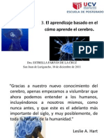 Aprender Conociendo Nuestro Cerebro