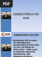 Resumo Sobrevivncia No Mar