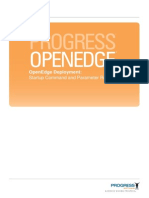 Progress: Openedge