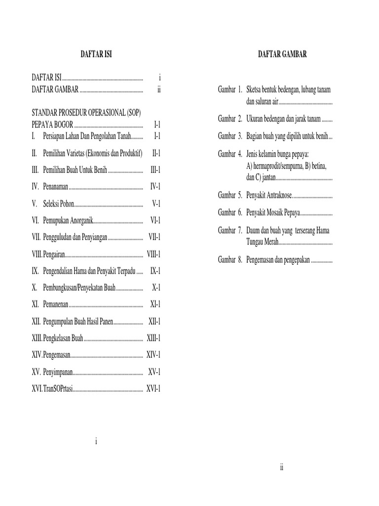 35 Ide Sketsa Gambar  Batang Pepaya  Tea And Lead