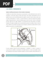 Os Pares Cranianos - Nervo Vestíbulococlear - 8° Par