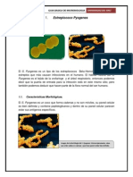 Guia Basica de Microbiologia2