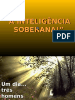 20090515PPT_inteligencia_oo