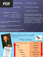 Aula Sistematica (Classificação e Escolas) #3