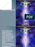 20090602PPT_oprincipemestre