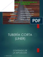 Tuberia Liner Final