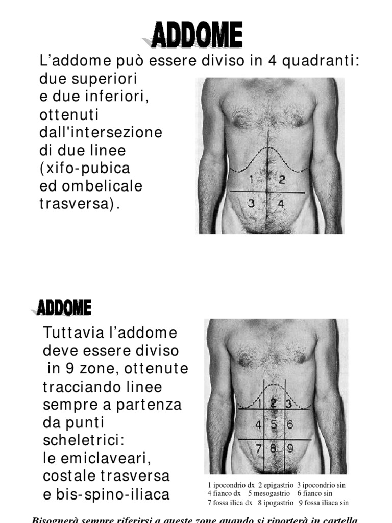 Addome