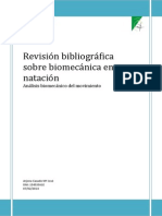 Revision Bibliografica