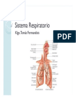 07- Sistema Respiratorio