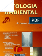 CLASE 12 - Patología Ambiental