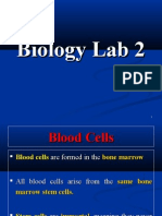 Biology Lab 2