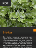 Apresentação1 - Briofitas
