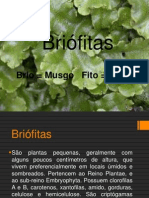 Apresentação1 - Briofitas