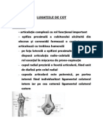 Curs 05 Luxatia Cot