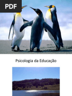 Psicologia Da Educação