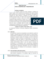 Practica 04 - Medicion de La Respiracion y de La Transpiracion