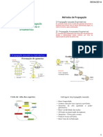 Aula 1 - Multiplicação e Propagação de Plantas Ornamentais e Floriferas