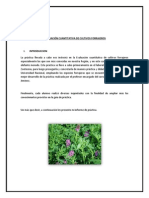 Informe Nº08