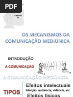 Mecanismos Da Comunicação Mediunica Nl