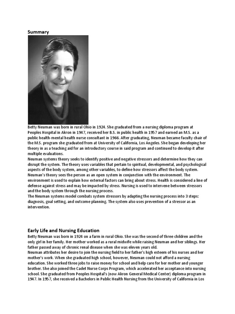 Betty neuman nursing theory picture