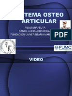 Sistema Osteo Articular