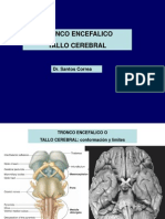 15572301 6ta Clase Neuro Tronco Encefalico Dr Correa