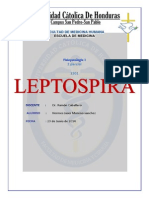 Leptospira Trabajo de Investigacion Fisiopatologia 2 Parcial