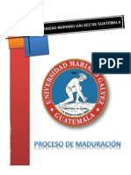 Proceso de Maduración de Bananos