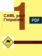 CamlIntro PDF