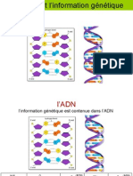 cours-sequences.ppt