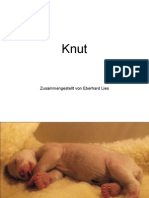 Knut_Das_Wuschelchen